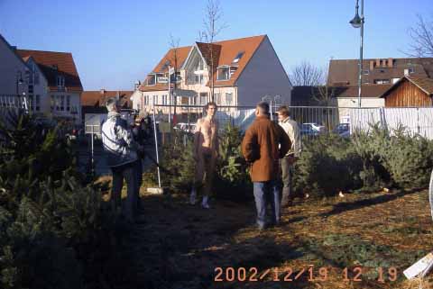 weihnachtsbaumverkauf.jpg